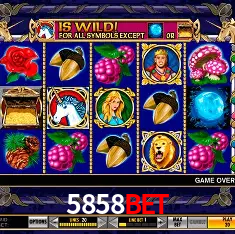 Recursos de Bônus 5858bet